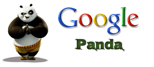 Google Panda Guide - Digital Marketers India