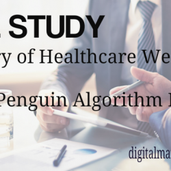 Case Study - Penguin Recovery - Digital Marketers India