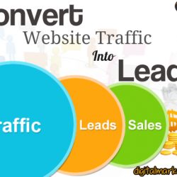 Covert website traffic into leads - Digital Marketers India