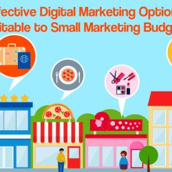 Effective Digital Marketing Options Suitable to Small Marketing Budget - Digital Marketers India