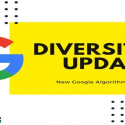 Google Diverse Results Update - Digital Marketers India