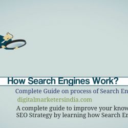 Guide on How Search Engines Work for SEO professionals - Digital Marketers India