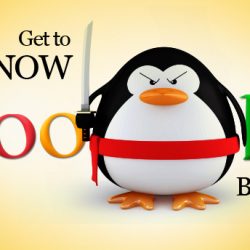 Understand Google Penguin - guide for non seo