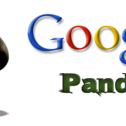 Google Panda Guide - Digital Marketers India